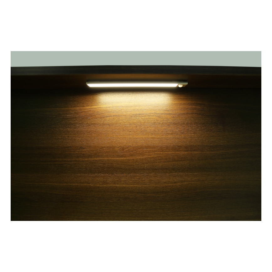 Globo - Applique LED rechargeable dimmable LED/2,5W/5V 4000K 1100 mAh 40 cm