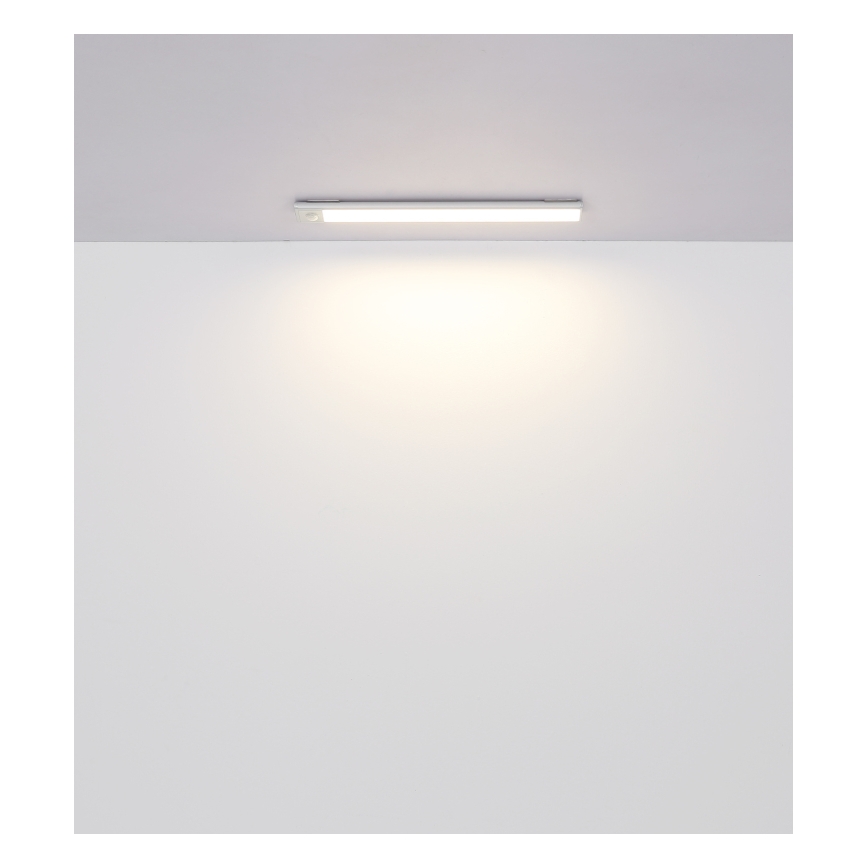 Globo - Applique LED rechargeable dimmable LED/2,5W/5V 4000K 1100 mAh 40 cm