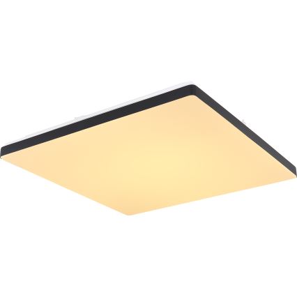 Globo - Dimbare LED plafondlamp LED/24W/230V 2700-6500K Wi-Fi Tuya + afstandsbediening