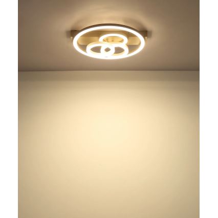 Globo - Plafonnier LED dimmable LED/40W/230V 2700-6500K 35×33 cm beige + télécommande