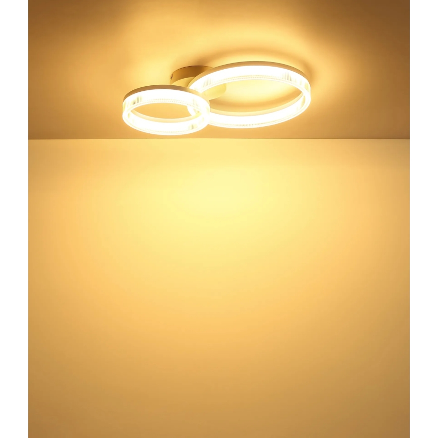 Globo - LED-plafondlamp LED/24W/230V 3000K 33x50 cm
