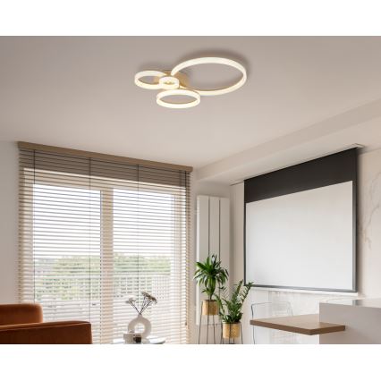 Globo - LED Plafonnier LED/40W/230V 3000K 64,5x75 cm