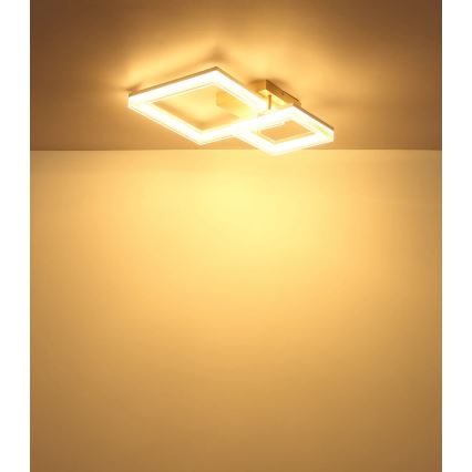 Globo - LED plafondlamp LED/24W/230V 3000K 46,5x62,5 cm