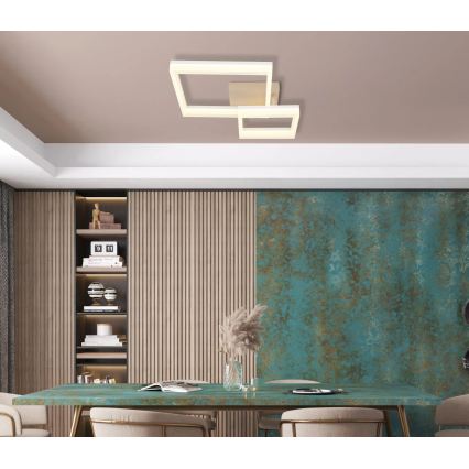 Globo - Plafonnier LED/24W/230V 3000K 46,5x62,5 cm