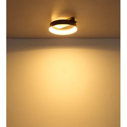 Globo - LED plafondlamp LED/12W/230V 3000K 26x25 cm