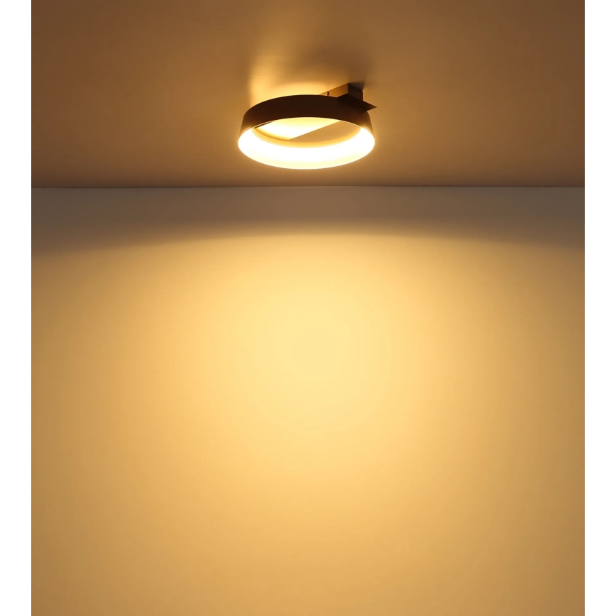 Globo - LED plafondlamp LED/12W/230V 3000K 26x25 cm