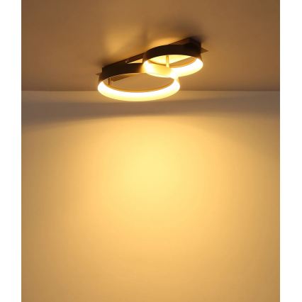 Globo - LED plafondlamp LED/24W/230V 3000K 50x35 cm