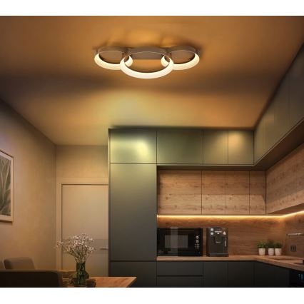 Globo - LED plafondlamp LED/40W/230V 3000K 70x35 cm