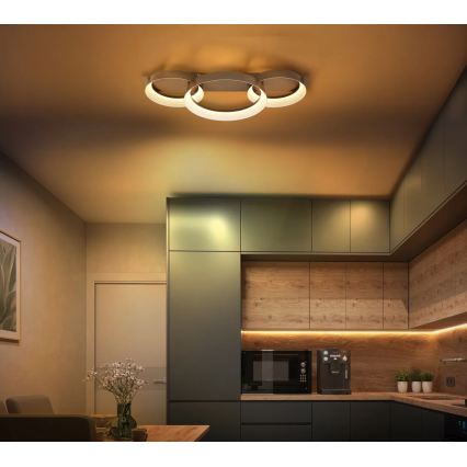 Globo - Plafonnier LED/40W/230V 3000K 70x35 cm