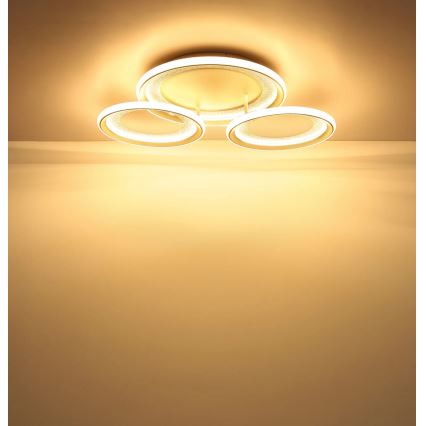 Globo - LED plafondlamp LED/40W/230V 3000K 60,5x62,5 cm
