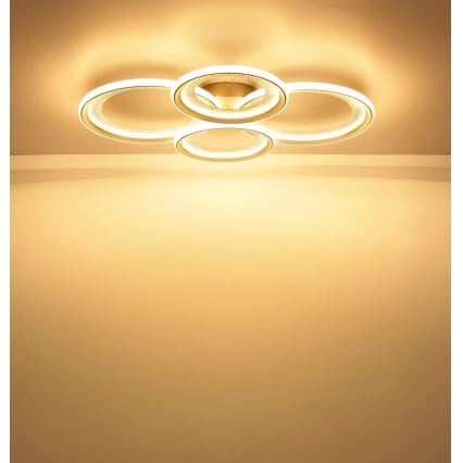 Globo - Plafonnier LED LED/50W/230V 3000K 64,5x85,5 cm