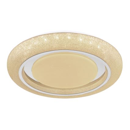 Globo 483111-40 - LED Plafondlamp RADA LED/40W/230V 2700/4200/6500K Ø 49 cm