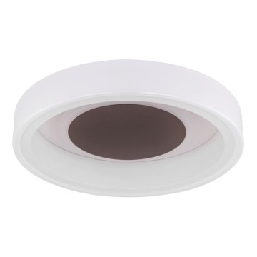 Globo 48398-24 - Plafonnier GOFFI LED/30W/230V