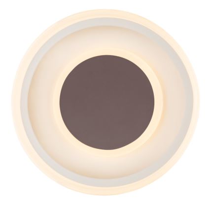 Globo 48398-24 - Plafonnier GOFFI LED/30W/230V