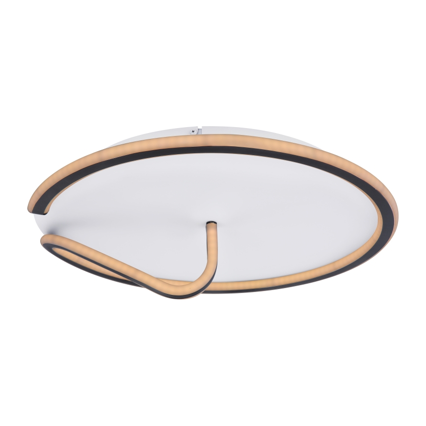 Globo - Dimbare LED plafondlamp RODAN LED/50W/230V 3000-6000K + afstandsbediening