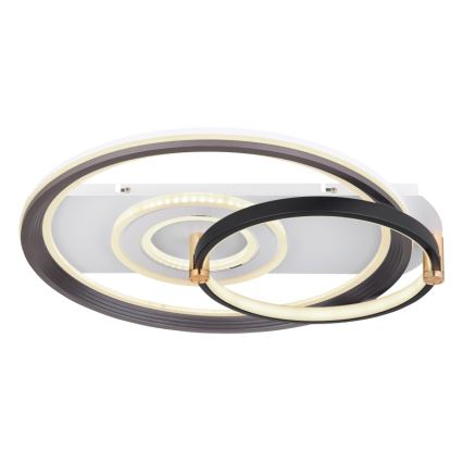 Globo 48459-46 - Dimbare LED-plafondlamp ANI LED/46W/230V 2700-6000K 48x52 cm + afstandsbediening