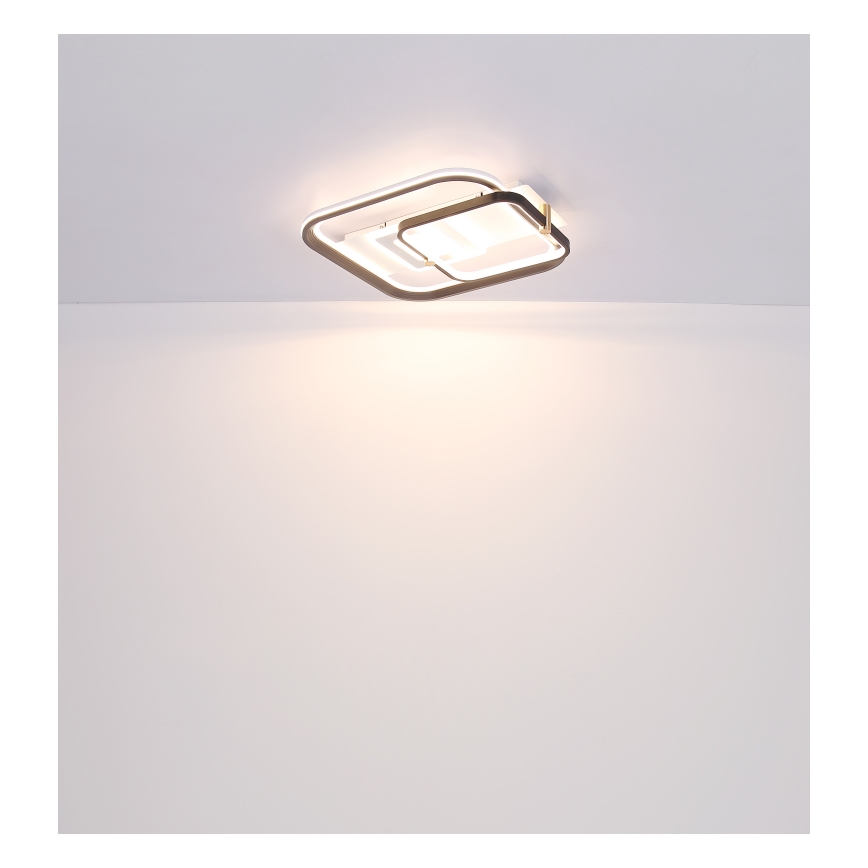 Globo 48459-48 - Plafonnier LED dimmable ANI LED/48W/230V 2700-6000K 48x52 cm + télécommande