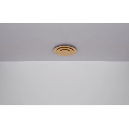 Globo - LED plafondlamp LED/40W/230V 3000K Ø 49 cm goud