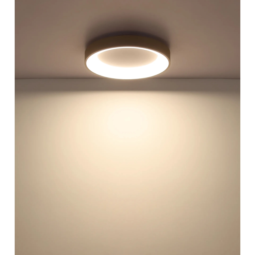 Globo - Dimbare LED-plafondlamp LED/48W/230V 2700-6000K Ø 50 cm + afstandsbediening