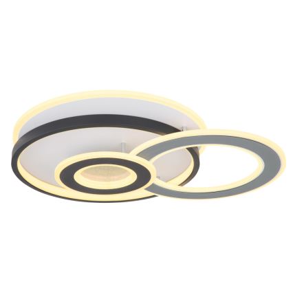 Globo 48552D4 - LED-plafondlamp BRIENNA LED/40W/230V 43x52 cm wit/grijs