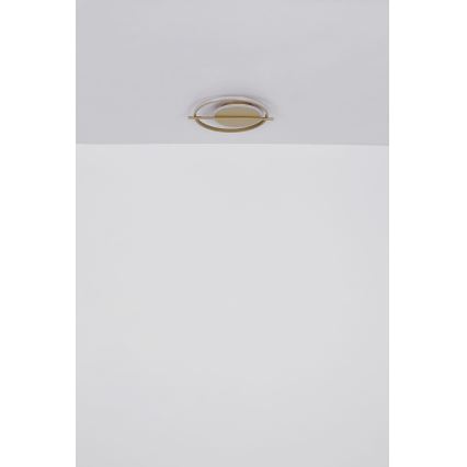 Globo - LED Plafondlamp LED/36W/230V