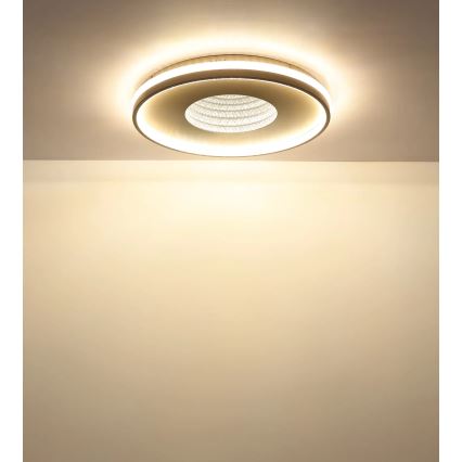 Globo - LED-dimbare plafondlamp LED/40W/230V 2700-6500K Ø 50,5 cm + afstandsbediening