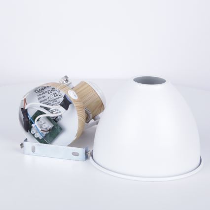 Globo - Wandspot 1xE27/40W/230V