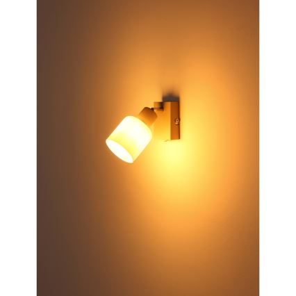 Globo - Wandspot 1xE14/25W/230V