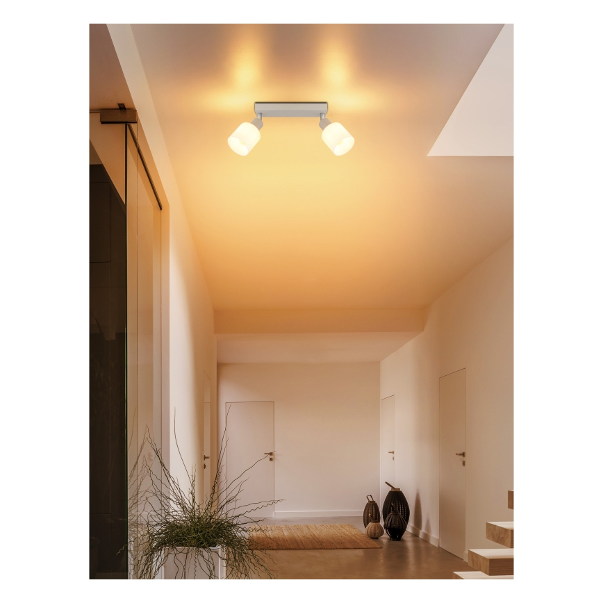 Globo - Spot orientable 2xE14/25W/230V