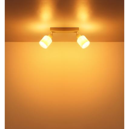 Globo - Spot orientable 2xE14/25W/230V