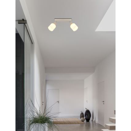 Globo - Spotlamp 2xE14/25W/230V