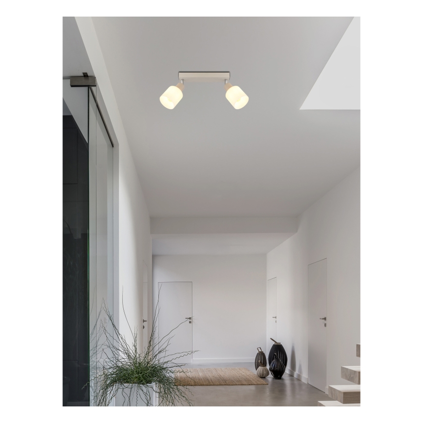 Globo - Spotlamp 2xE14/25W/230V