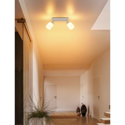 Globo - Spotlamp 2xE14/25W/230V