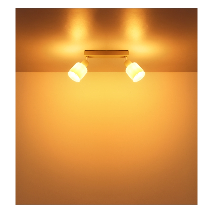 Globo - Spotlamp 2xE14/25W/230V