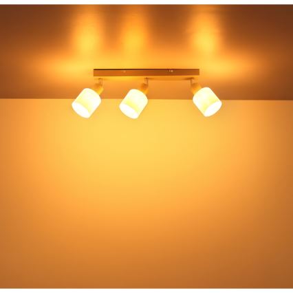 Globo - Spot orientable 3xE14/25W/230V