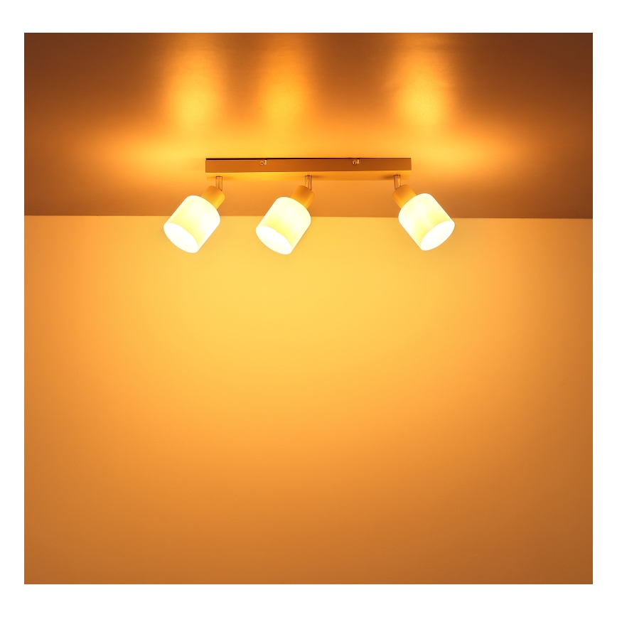 Globo - Plafondspot 3xE14/25W/230V