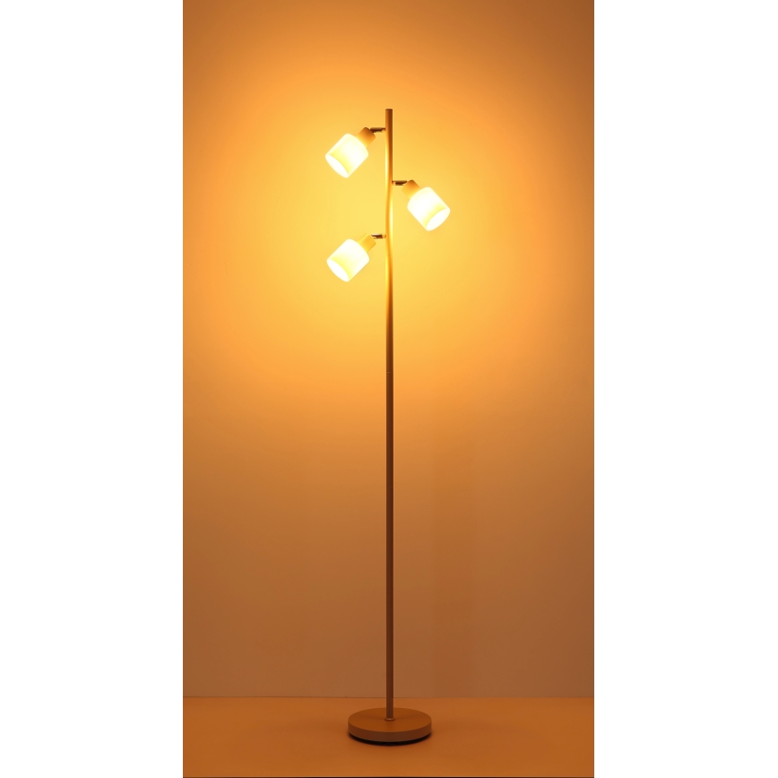 Globo - Vloerlamp 3xE14/25W/230V