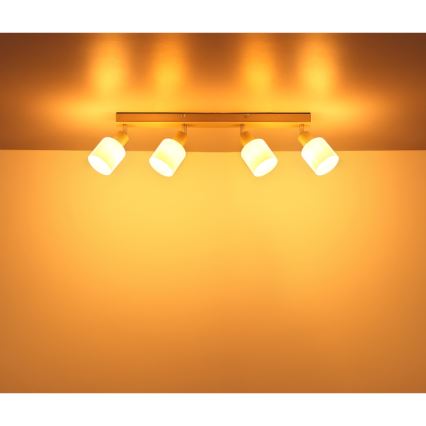 Globo - Plafonnier à spots 4xE14/25W/230V