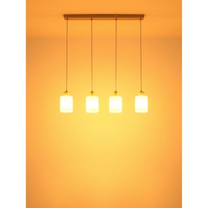 Globo - Hanglamp met kabel 4xE27/40W/230V