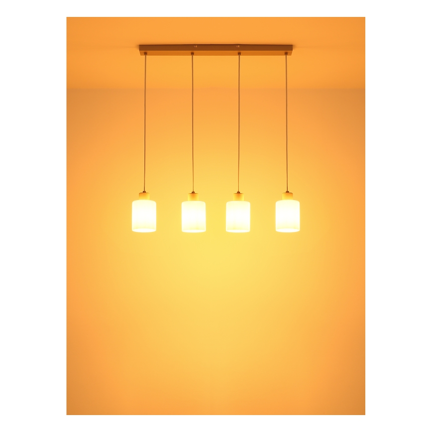 Globo - Hanglamp met kabel 4xE27/40W/230V