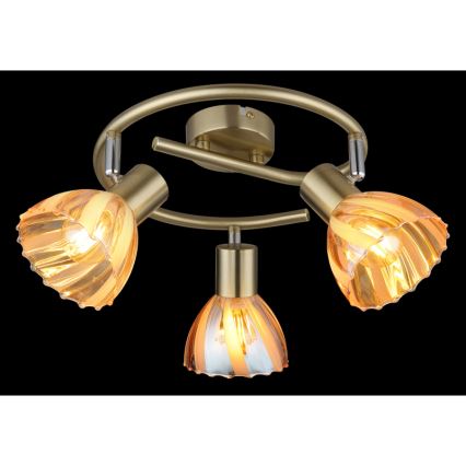 Globo - Spot 3xE14/40W/230V doré