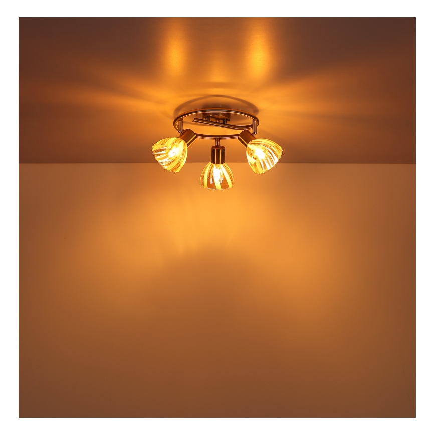 Globo - Spot 3xE14/40W/230V doré