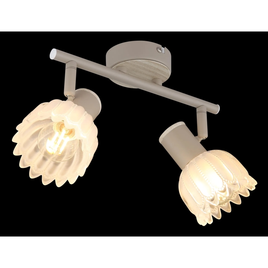 Globo - Spotlamp 2xE14/40W/230V