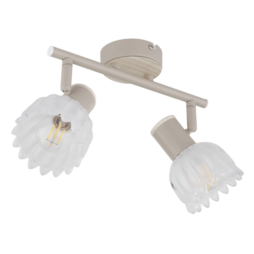 Globo - Spotlamp 2xE14/40W/230V