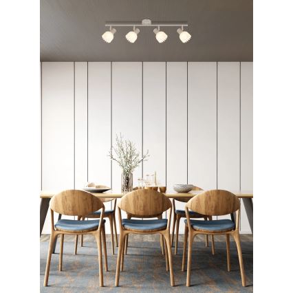 Globo - Plafondspot 4xE14/40W/230V