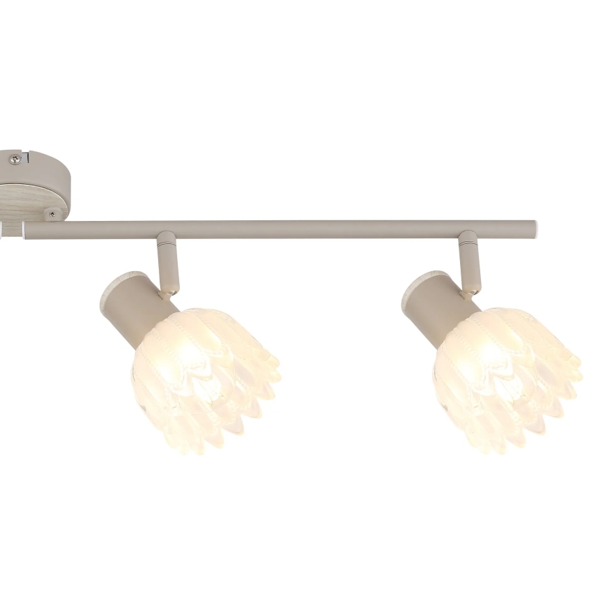 Globo - Spot 4xE14/40W/230V