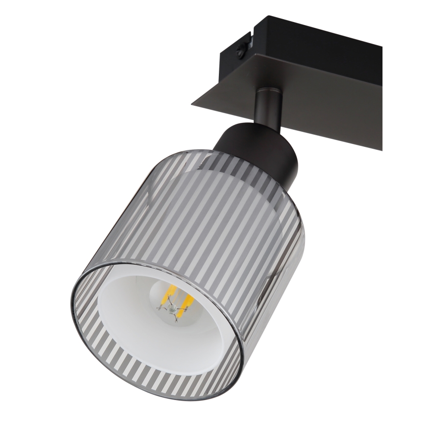 Globo - Luminaire à spots 2xE14/25W/230V