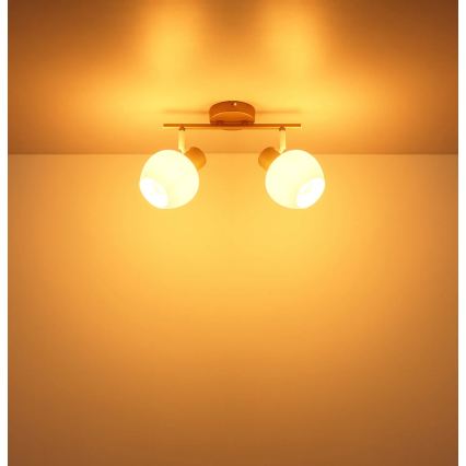 Globo - Luminaire à spots 2xE27/40W/230V