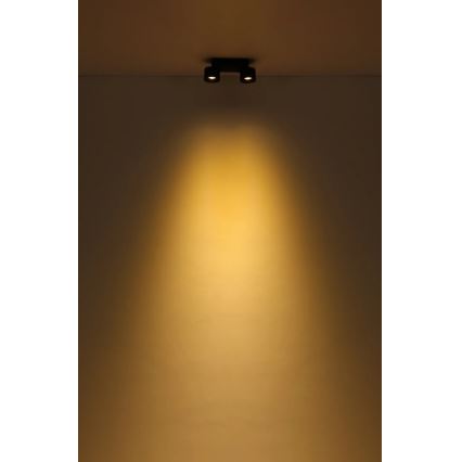 Globo - LED spot 2xLED/6W/230V zwart