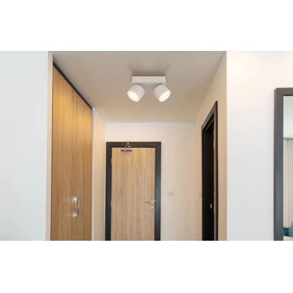 Globo - LED-spot 2xLED/6W/230V